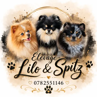 Lilo & Spitz